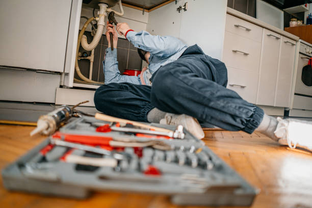 Best Affordable Plumbing Services  in Springville, UT