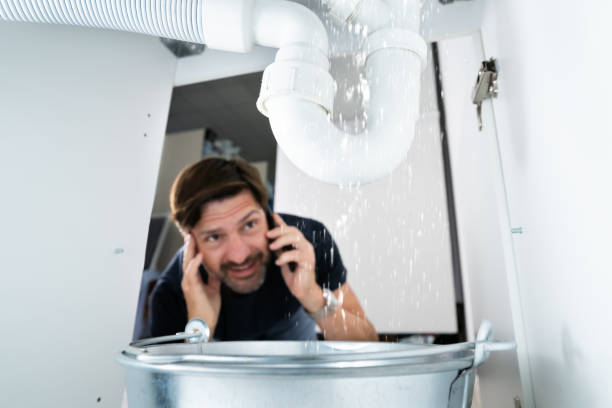 Best Drain Cleaning Services  in Springville, UT