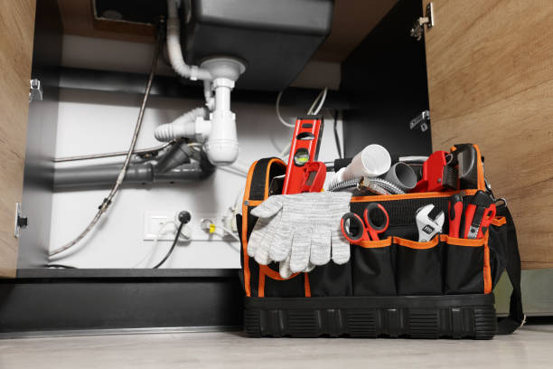 Best Clogged Drain Plumber  in Springville, UT