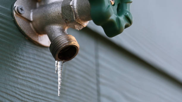 Best Affordable Plumbing Services  in Springville, UT